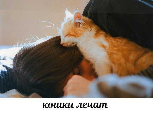 как лечат маловодие на разных сроках беременности как лечат маловодие на разных сроках беременности