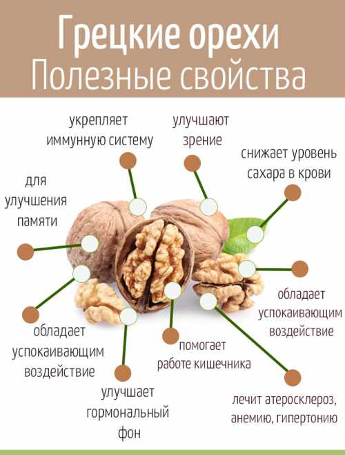 польза, вред и калорийность моркови по